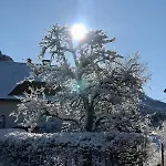 Rosental בית נופש