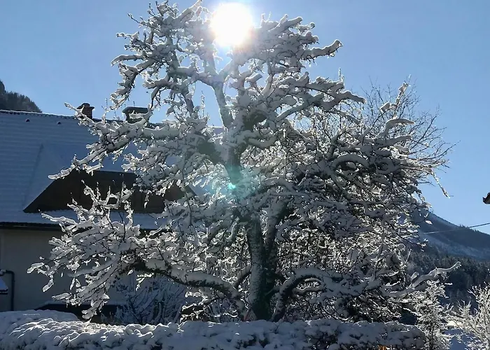 Rosental Dom wakacyjny