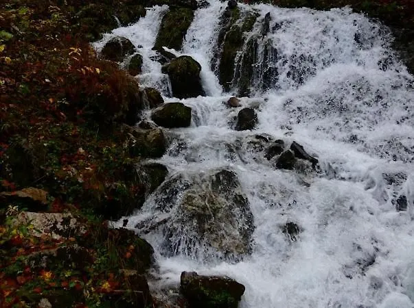 Rosental Dom wakacyjny Sankt Margareten im Rosental